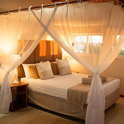 Premium Accommodation